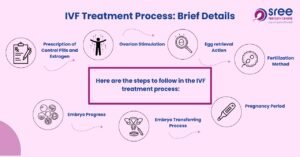 IVF treatment process