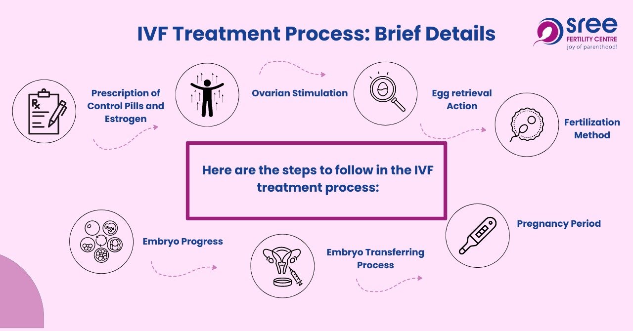 IVF treatment process