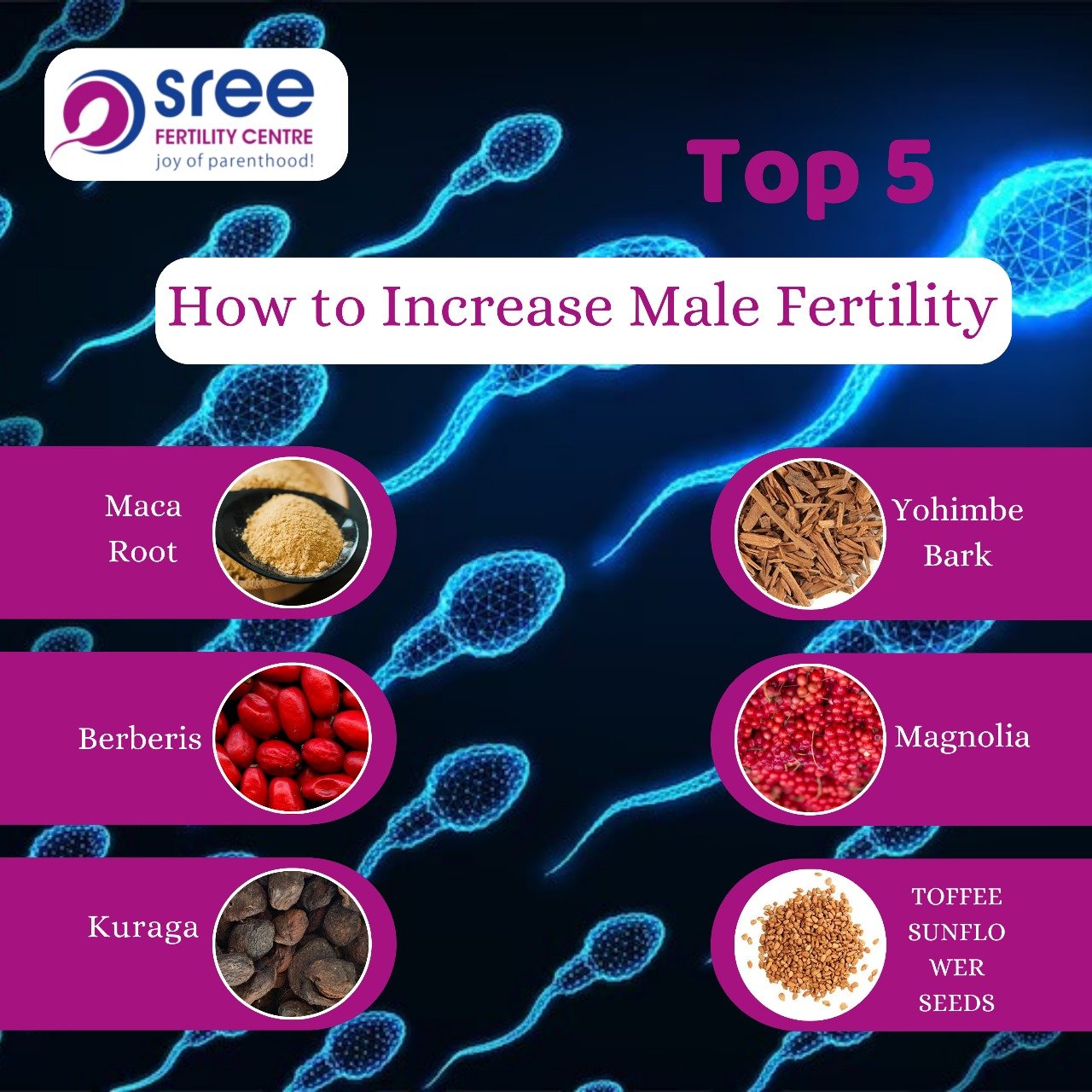 how to increase male fertility