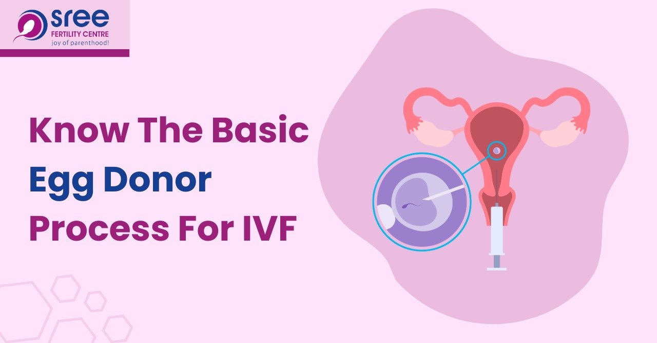 egg donor IVF process