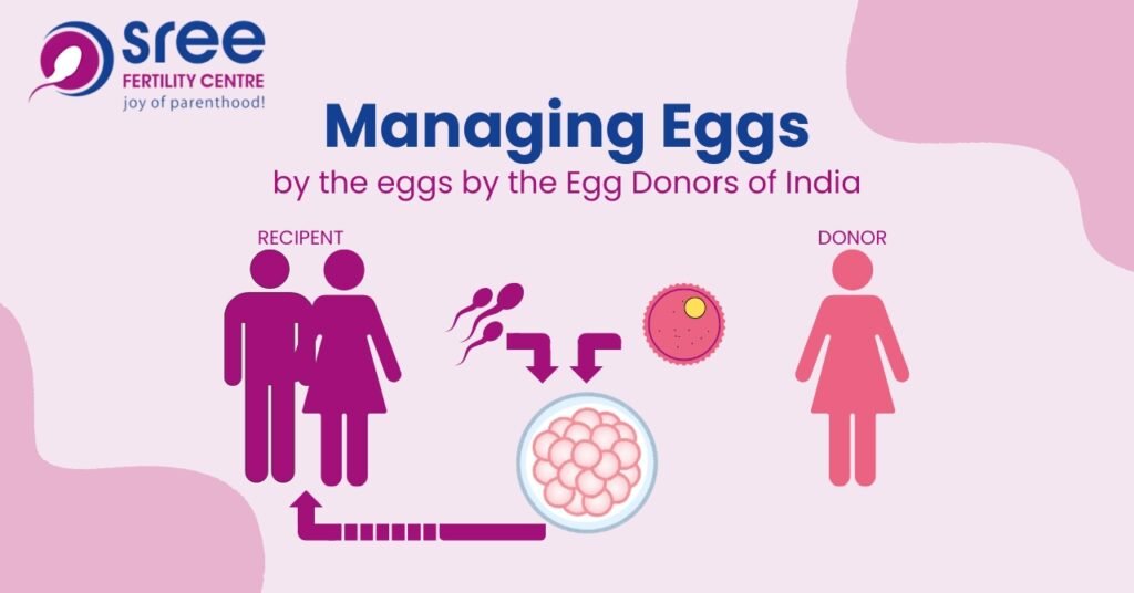 egg donor agencies in India