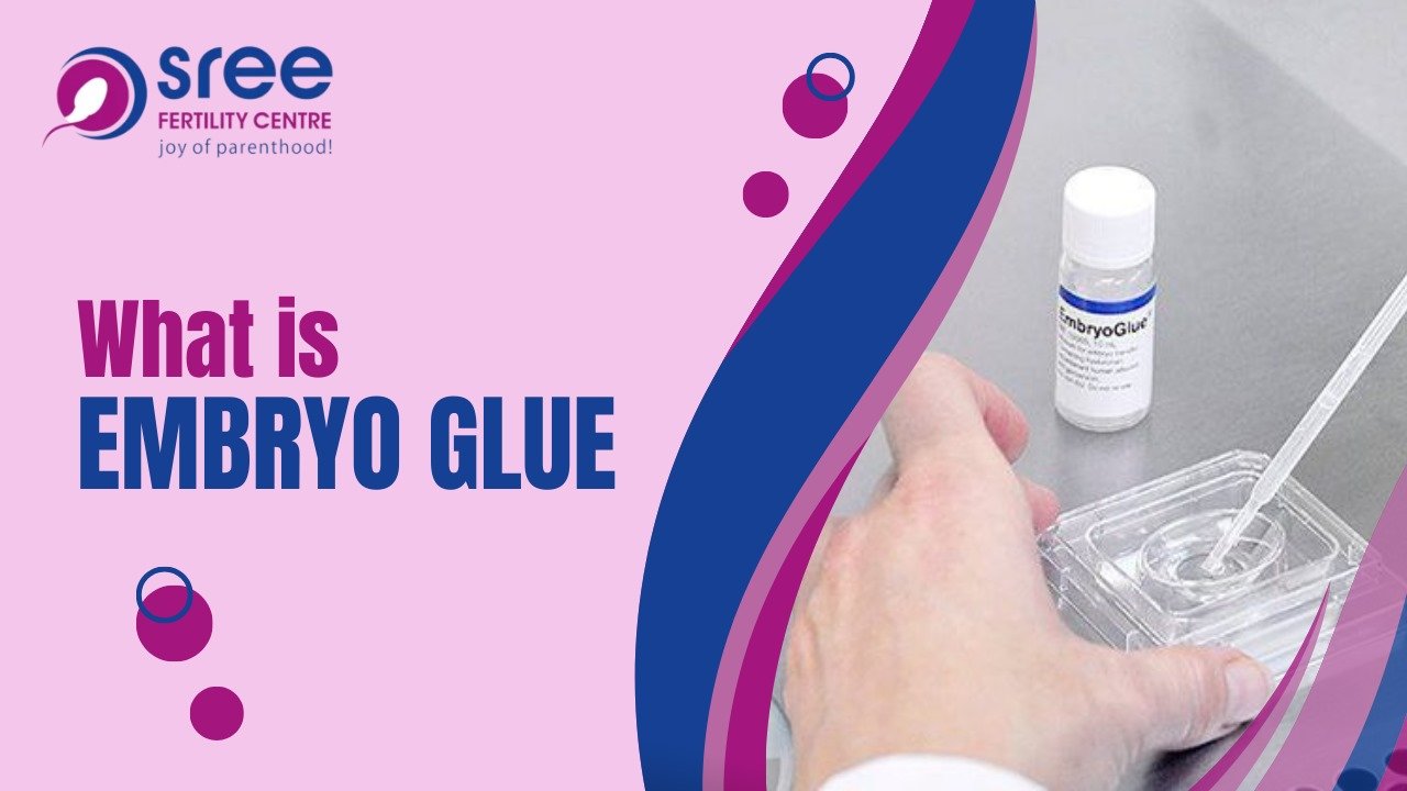 Embryo Glue in IVF